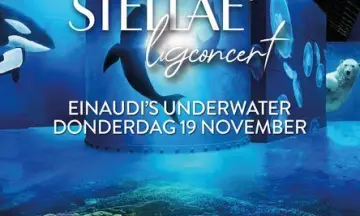 Einaudi's Underwater