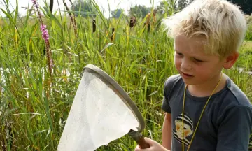 Kleine beestjes vangen