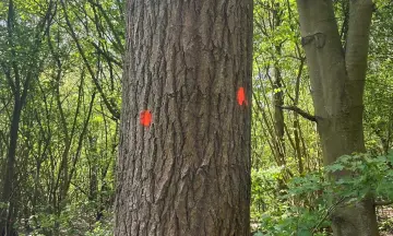 Help de boswachter in het Waarderhout
