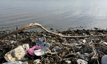 Opruimactie zwerfafval: dag van duurzaamheid