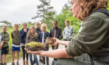Bosuitje, in het spoor van Dirk Duin