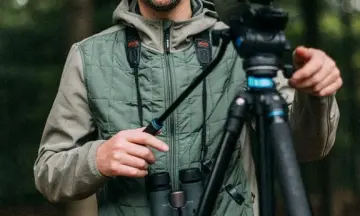 Wat vogels ons leren over rust, veerkracht en een bevlogen leven