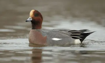 Ontdek de Onlanden