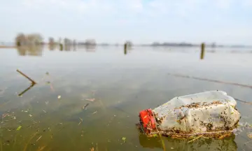 World Cleanup Day Grevelingendam