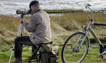 Vogels kijken voor beginners