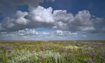 Dagtocht naar de oost