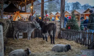 Kerstmarkt Graefenthal