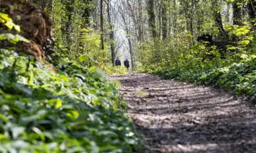 Ontdek de flora en fauna van het Malensbos