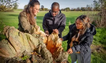 Verken de Sint-Pietersberg met een Natuurgids