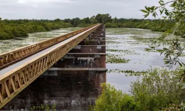 Natuurbeheer in de Moerputten