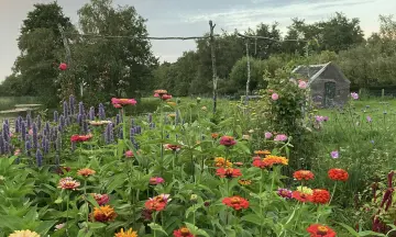 Pluk & Schik workshop