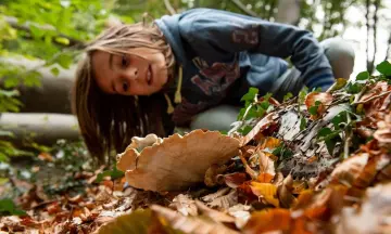 OERRR Herfst safari Brunssummerheide