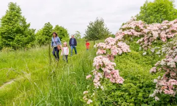 Natuurbelevingstocht heggenlandschap Zuid-Beveland
