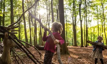 Takken sjouwen hutten bouwen