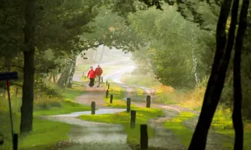 Wandelen in vrijheid