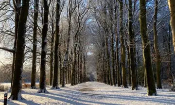 Midwinterwandeling in Westerwolde