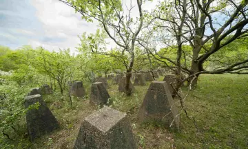 Rondleiding Fort Honswijk
