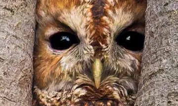 OERRR (3 t/m 6) Verhalen vertellen voor de kleintjes