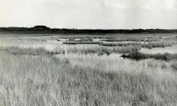 In de voetsporen van Jac. P. Thijsse