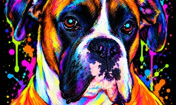 Neonportret eigen foto