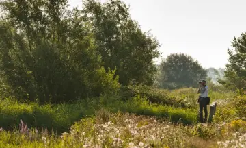 Stiltewandeling op Tiengemeten