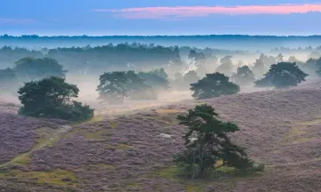 Op breuklijnen van natuur en geschiedenis - ontdek de Feldbissbreuk