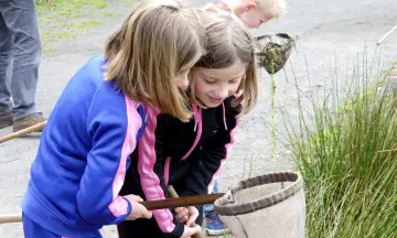 Waterdiertjes zoeken met de boswachter