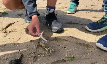 OERRR Speurtocht in de Kwade Hoek