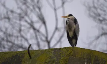 Bezoek Fort Ruigenhoek