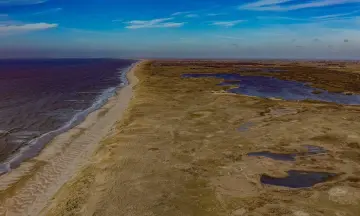 Excursie natuurherstel Zwanenwater (gratis)