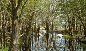 Ontdek de Haringvreter in het Veerse Meer