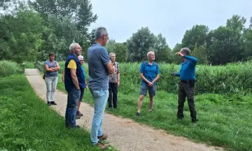 Tijdreis door het Abtswoudse bos