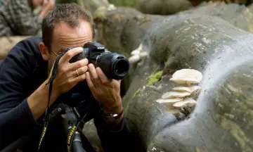 Workshop paddenstoelenfotografie in de Kaapse Bossen