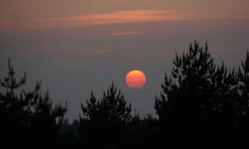 Nacht van de Nacht boswachterij Hardenberg