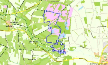 Witte Veen