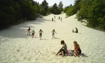 Hogeduinenpad Schoorlse Duinen