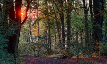 Excursie: Het ontwaken van de natuur op de Sint-Pietersberg