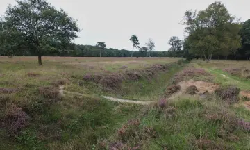 Fietsexcursie rond het Noordlaarderbos en Vijftig Bunder