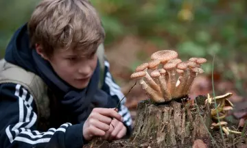 OERRR op zoek naar paddenstoelen in Oisterwijk (8 t/m 12 jaar)