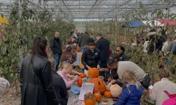 Pompoenenfestival