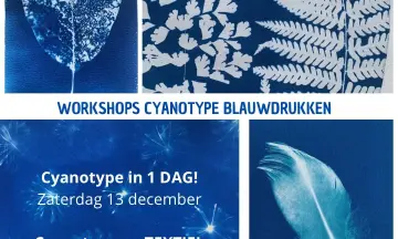 Workshop Cyanotype