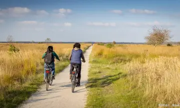 Fietstocht door het Fochteloërveen
