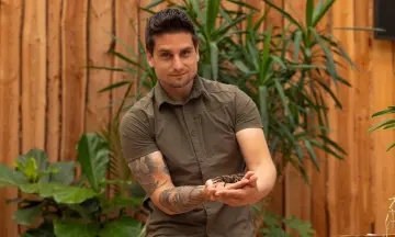 Magische Jungleweken!