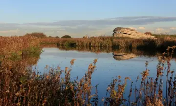 Exclusieve Herfstwandeling door de Korendijkse Slikken