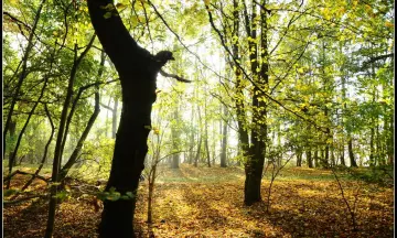 Excursie: Het ontwaken van de natuur