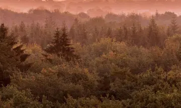 Nacht van de Nacht Zwolse Bos