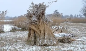 Op pad met de boswachter