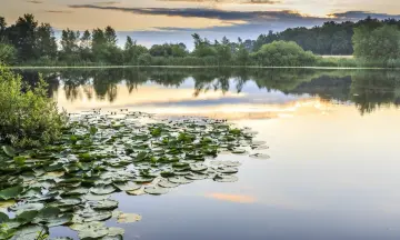 Stilte vaartocht - De Wieden