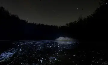 Vollemaanexcursie met de boot