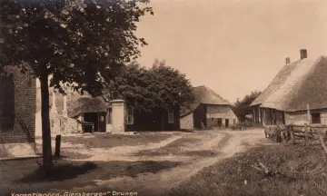 Van boerderij tot natuurgebied in de Loonse en Drunense Duinen